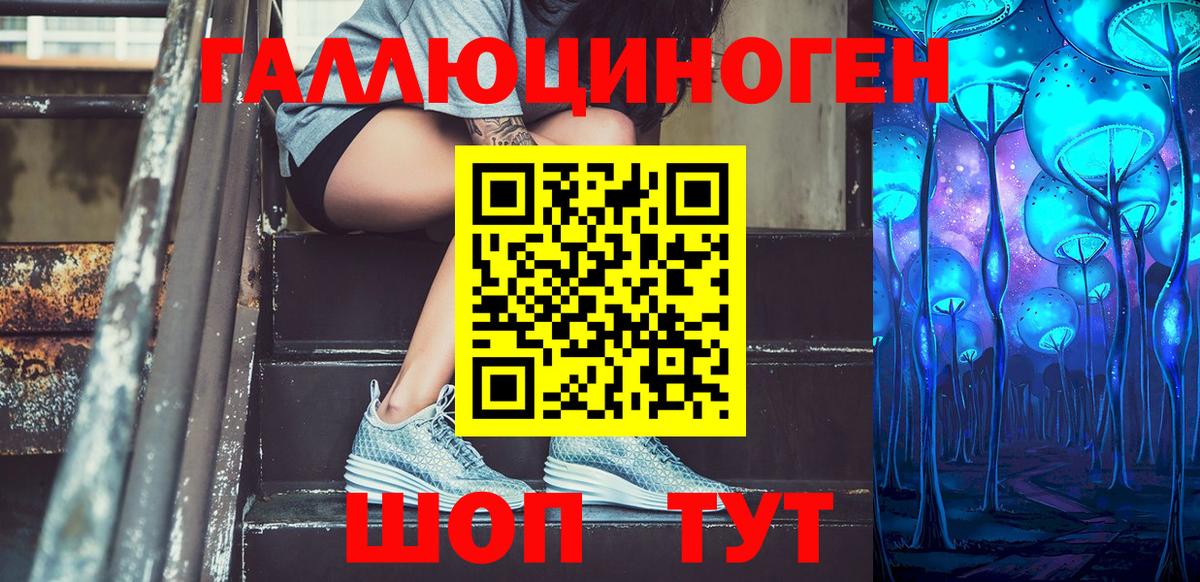 Псилоцибиновые грибы прущие грибы  Псилоцибиновые грибы GOLDEN TEACHER  Котельники  Вход с VPN 